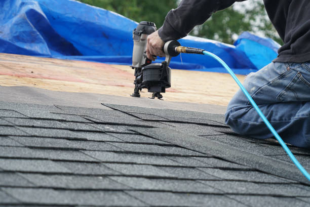 Best Metal Roofing Contractor  in Meeker, CO