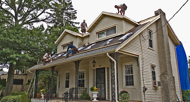 Best Local Roofing Companies  in Meeker, CO